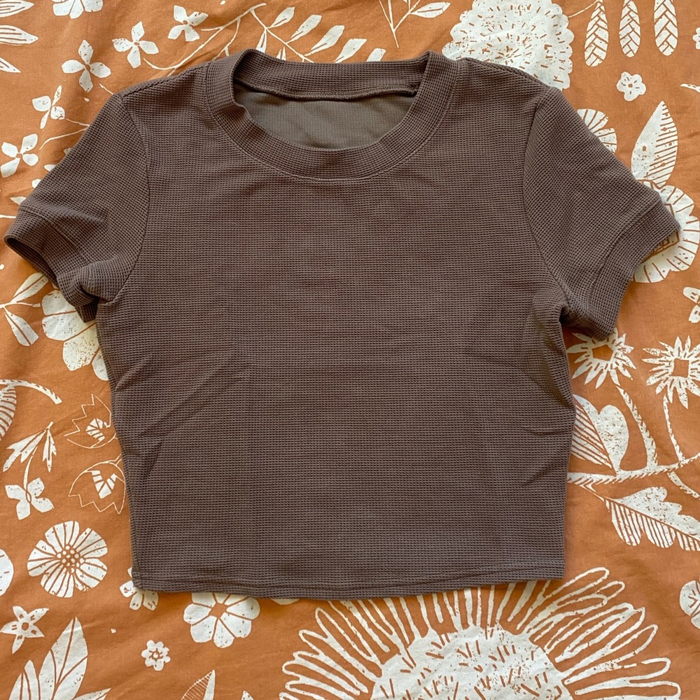 ALO Brown Knit Crop Top